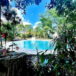 Tequila Cancun 4* Alfredo V. Bonfil